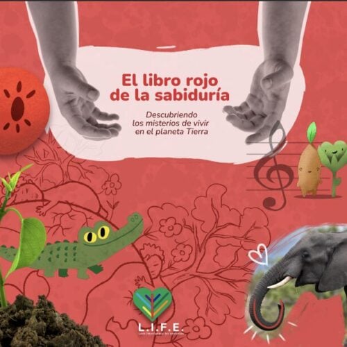 Miniatura del curso