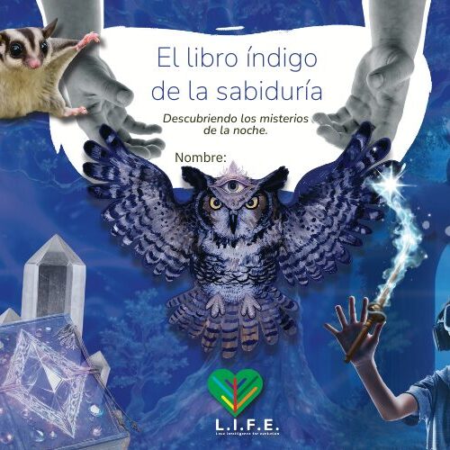Miniatura del curso